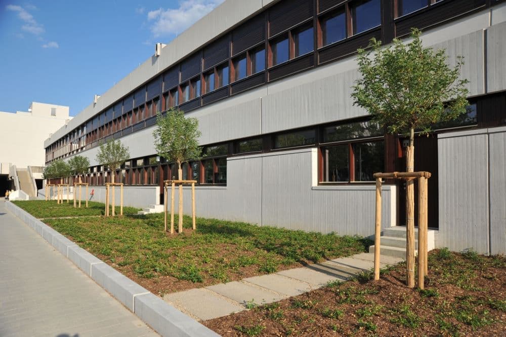 Universität Regensburg, Sanierung Mensa